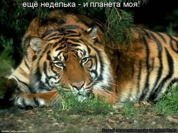 Дмитрий Фомин