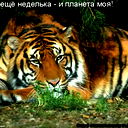 Дмитрий Фомин
