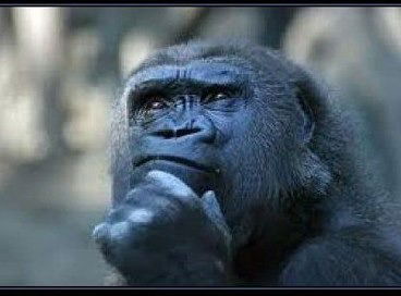 Алексей Южаков