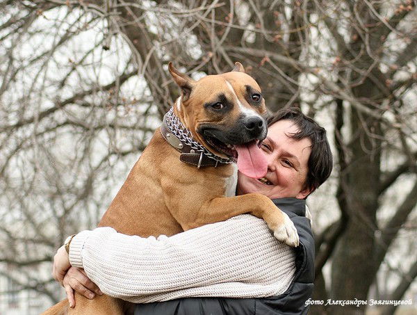 Светлана Сахарова