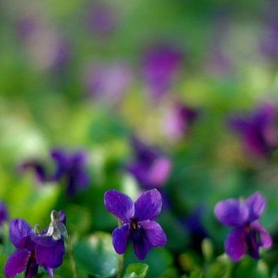 Рита Назырова