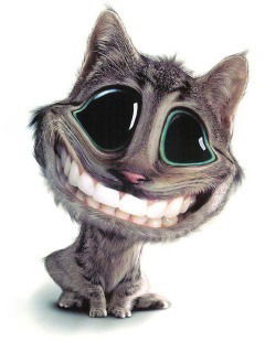 Адилет Идрисов