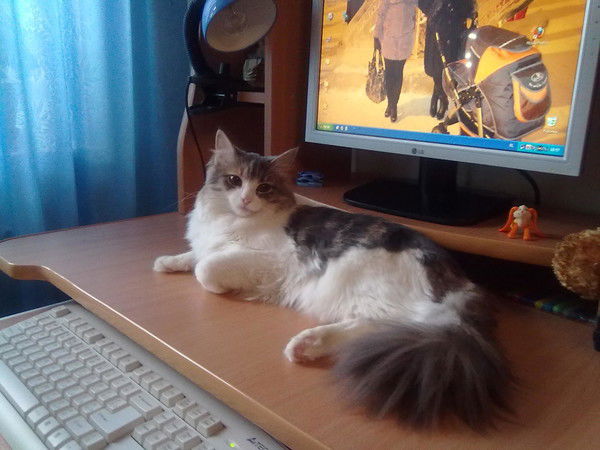 Дарья Воронова