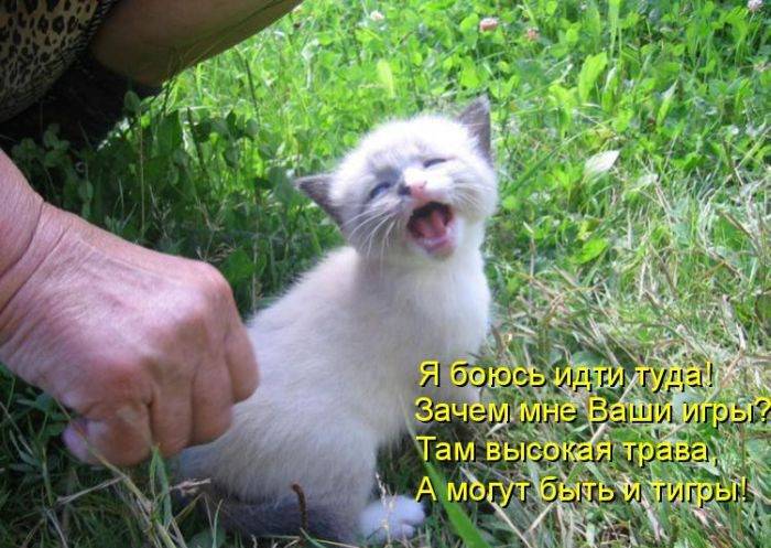 Беназир Источник Любви