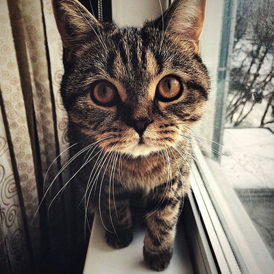 Саша Жукова