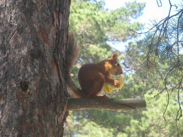 Татьяна Гаврилова