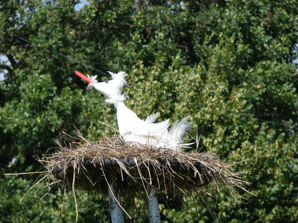 Ольга Фролова