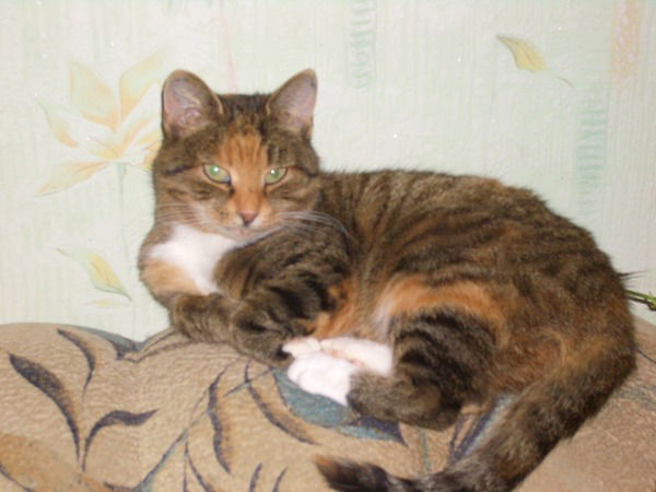 Татьяна Туманова