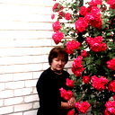 Вера Булко
