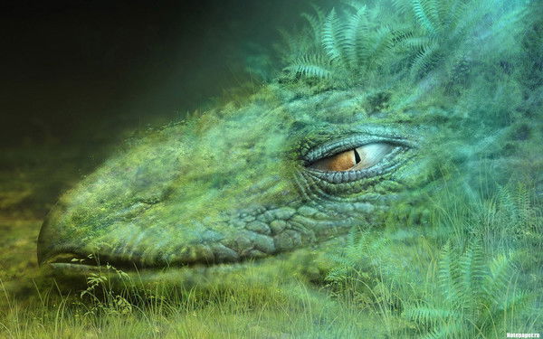 Олег Тураев