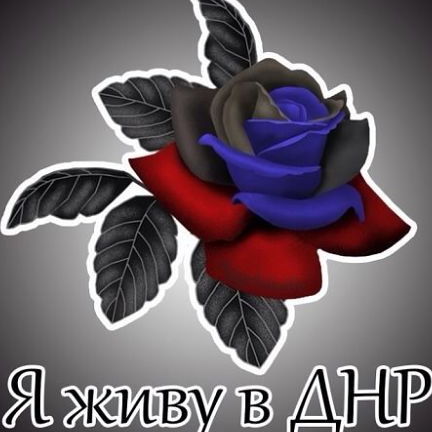 Юлия Солодовник