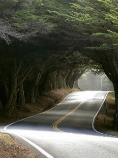 Адина Саадабаева