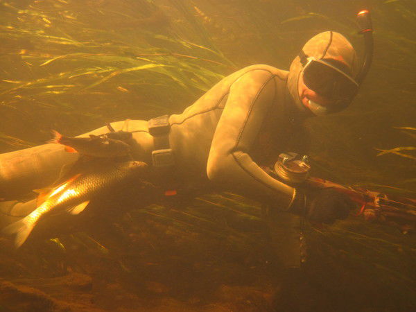 Сергей Ващенко