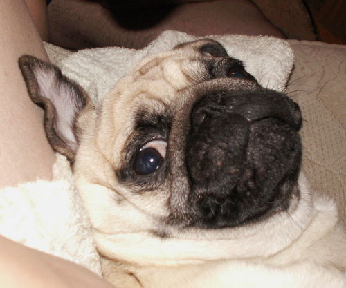 Евгения Быканова