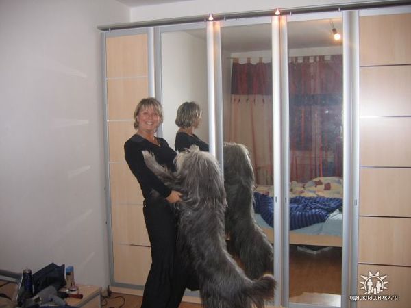 Светлана Сапожникова