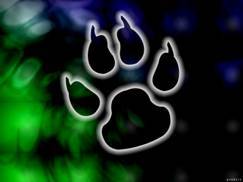 Кирилл Кайриш