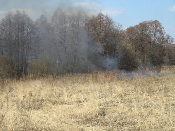 Александр Александрович