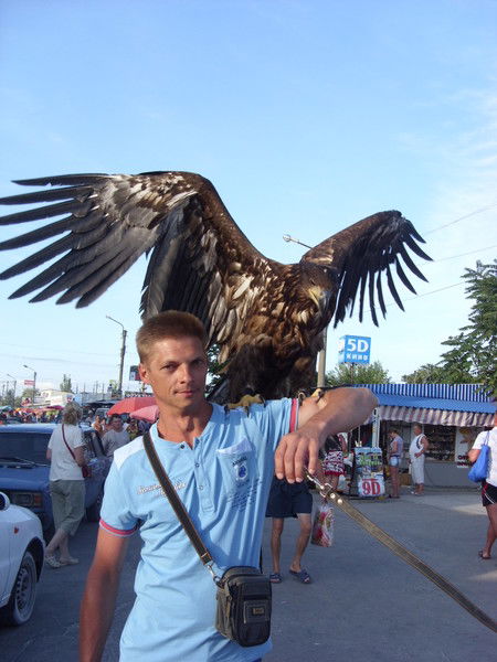 Олег Иванов