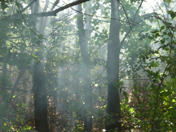 Наталия Крохмаль