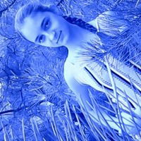 Радусик Коцур