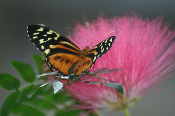 Оксана Чуйкова