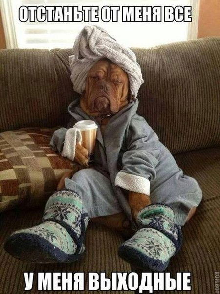 Елена Фоминцева