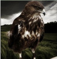 Алексей Тихонов