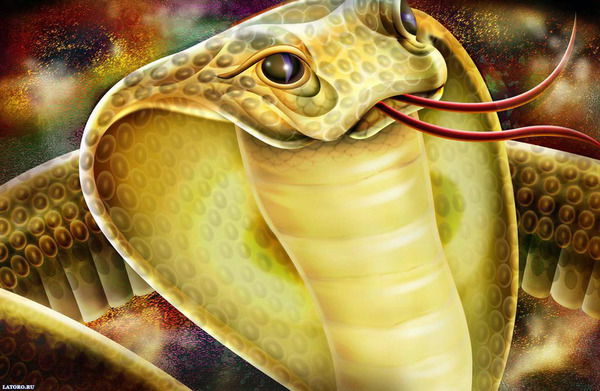 Женя Томилов