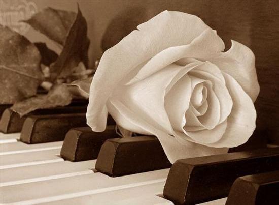 Светлана Быстрова