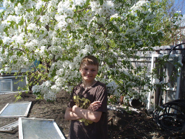 Дамир Шалухин