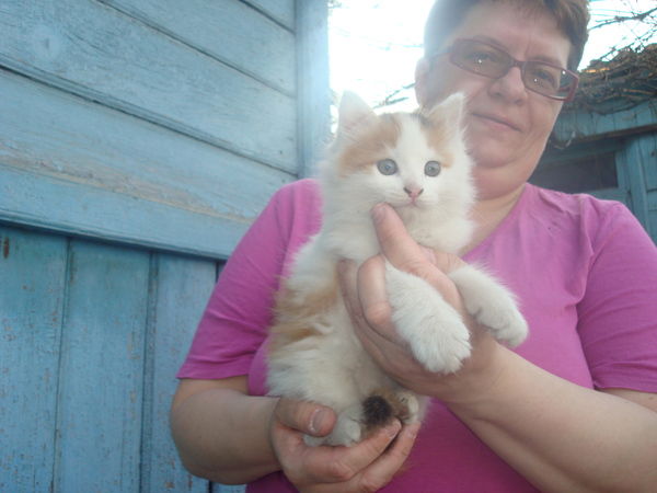 Ася Александровна