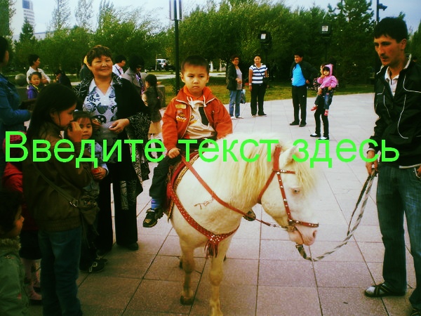 Алия Бекбаева