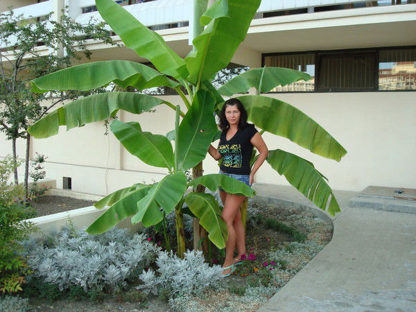 Наталья Ширяева