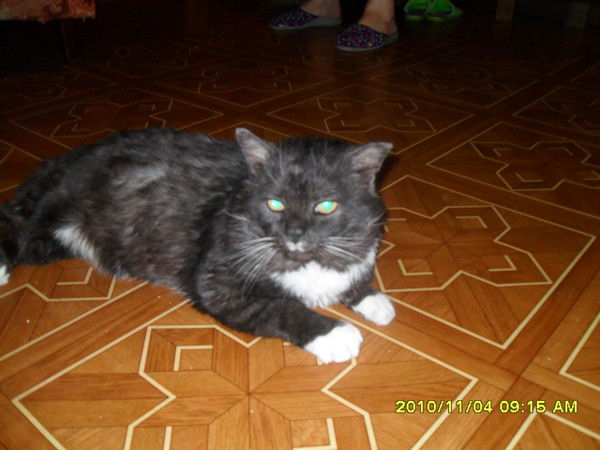 Роман Левицкий