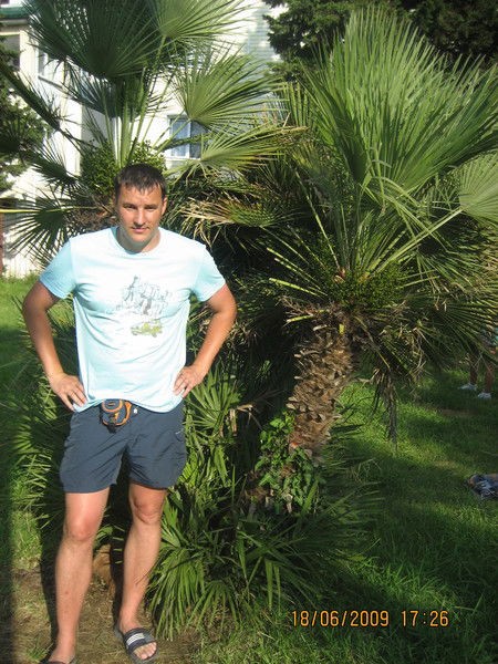 Алексей Зиборов