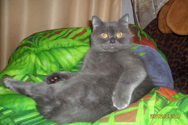 Ирина Толстикова