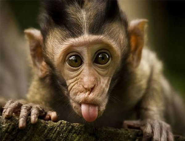 Дмитрий ..............