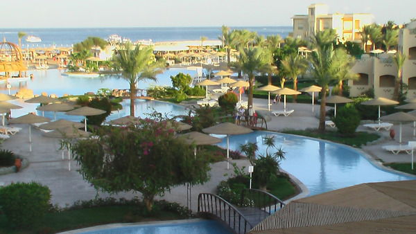 Андрей Койнов