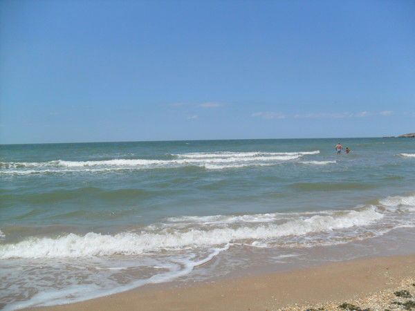 Александр Патрикеев