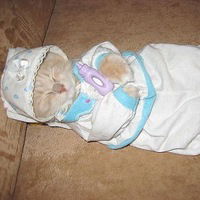 Алексей Добрынин