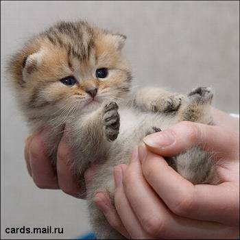 Мария Ковалёва