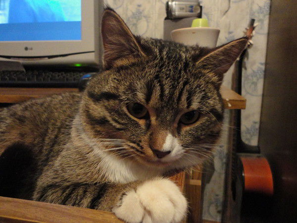 Владимир Смыков