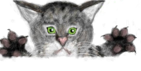 Сергей Шулежко