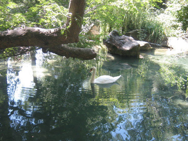 Семенова Люда