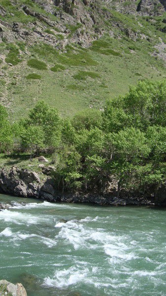 Акимат Коксу