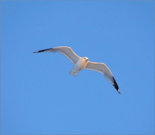 Мария Гудожникова