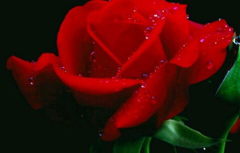 Гулдесте Конурбаева