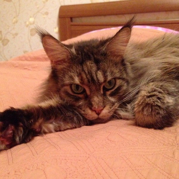 Светлана Ганина