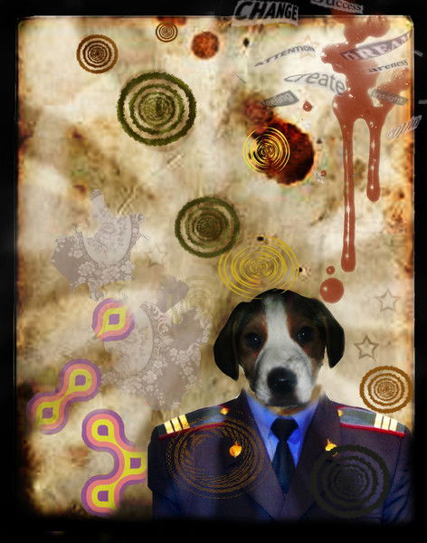 Дима Цурупо