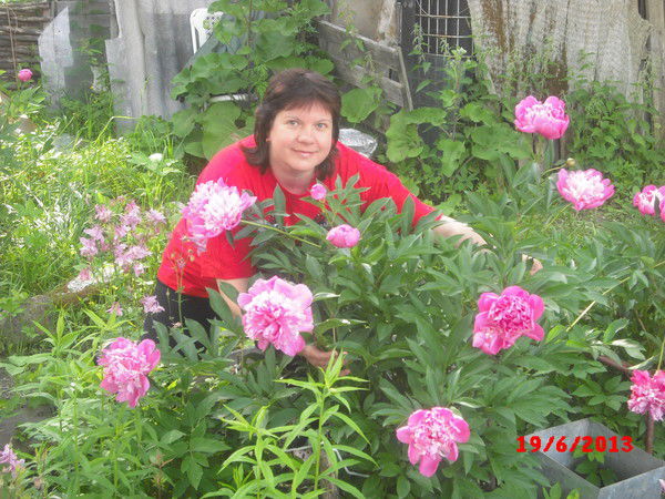 Елена Григорьева